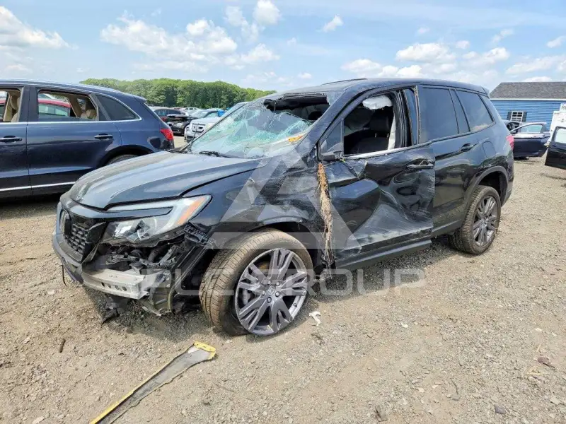 2019 Honda PASSPORT photo