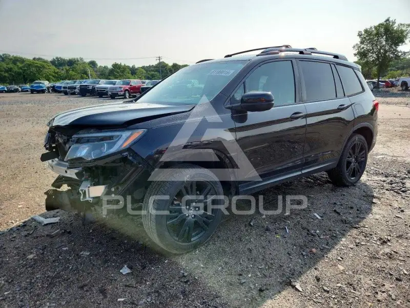 2019 Honda PASSPORT photo