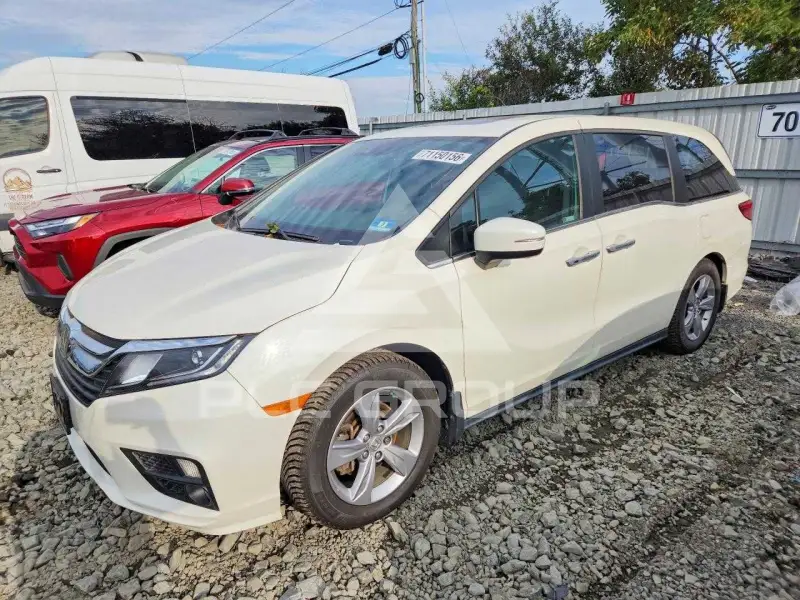 2019 Honda ODYSSEY фото