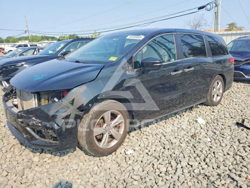 2019 Honda ODYSSEY photo