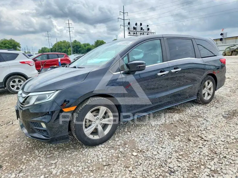 2019 Honda ODYSSEY фото