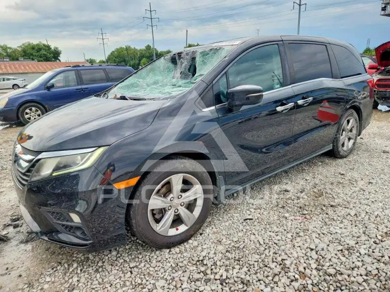 2019 Honda ODYSSEY фото