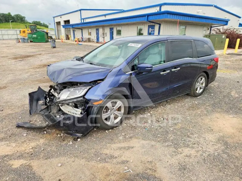 2019 Honda ODYSSEY фото