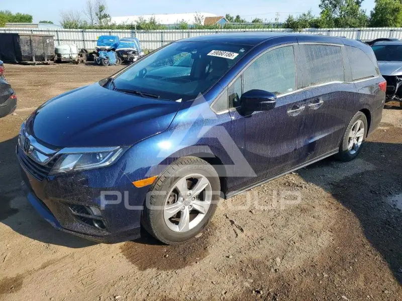 2019 Honda ODYSSEY фото