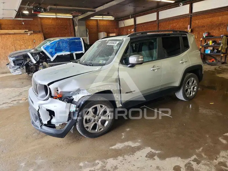 2019 Jeep Renegade фото