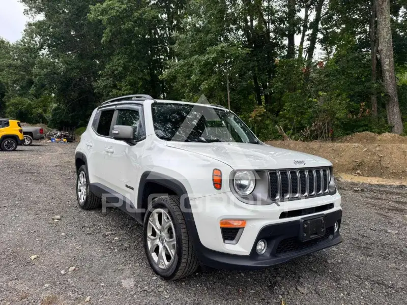 2019 Jeep Renegade фото
