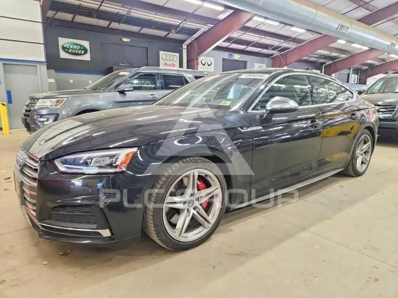 2019 Audi S5 photo