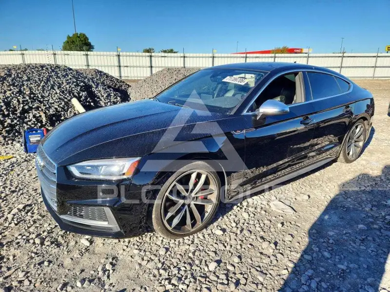 2019 Audi S5 фото