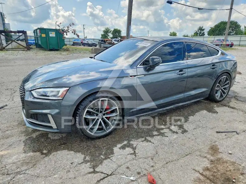 2019 Audi S5 фото