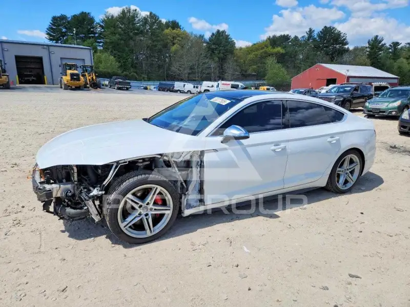 2019 Audi S5 фото