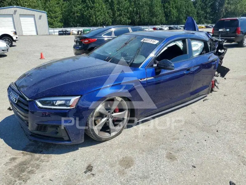 2019 Audi S5 photo