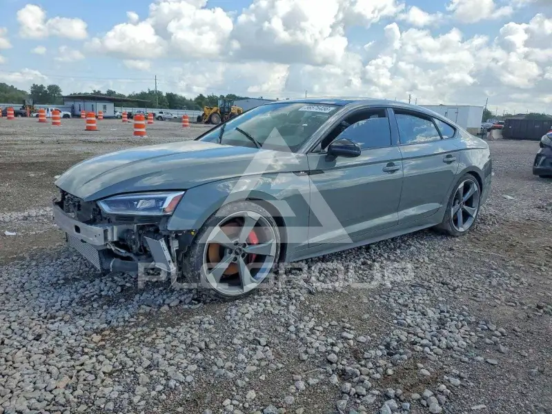 2019 Audi S5 photo