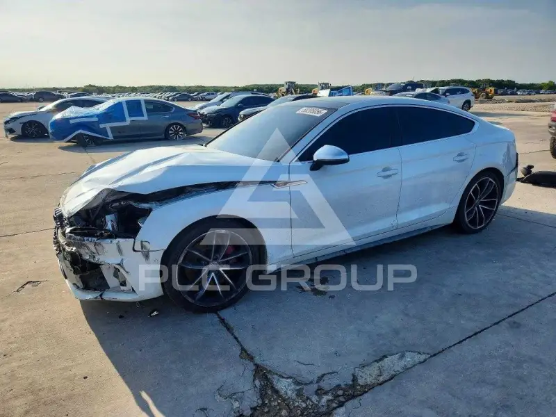 2019 Audi S5 фото