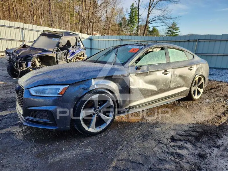 2019 Audi S5 фото