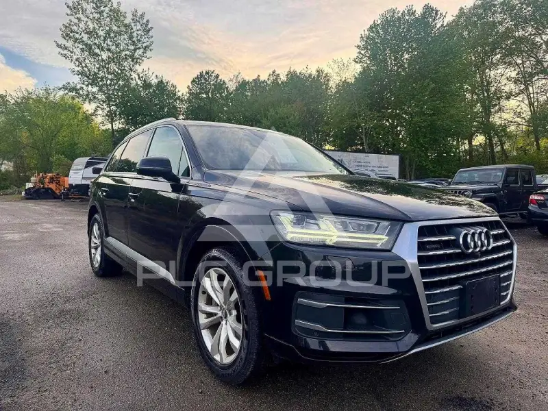 2019 Audi Q7 фото