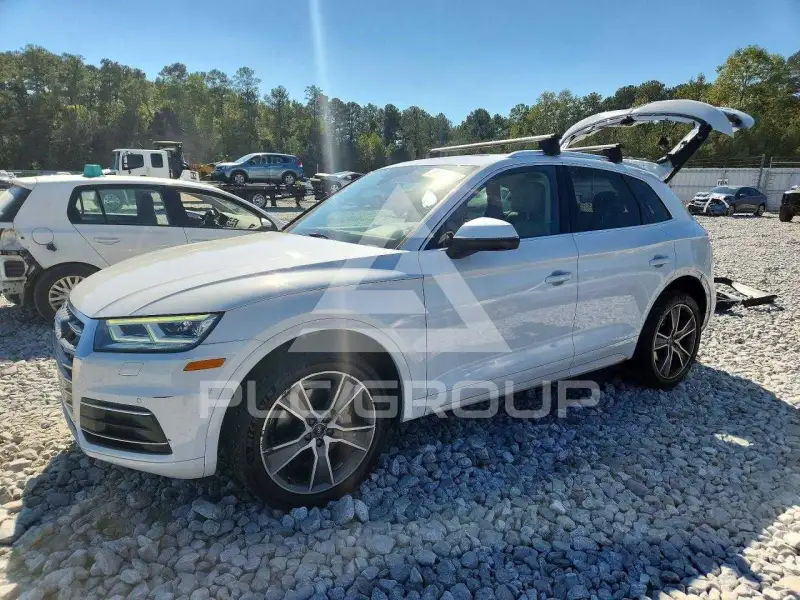 2019 Audi Q5 фото