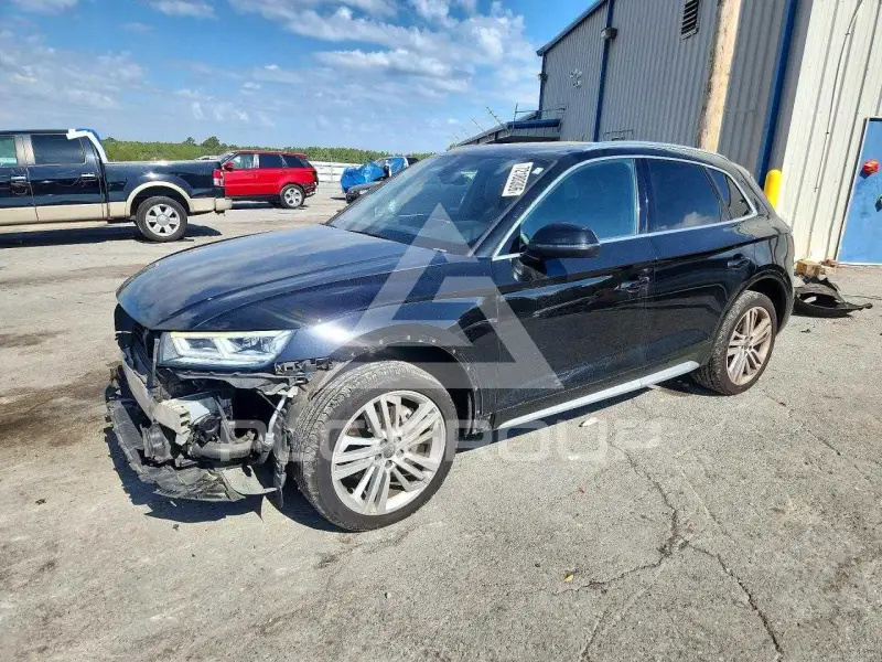 2019 Audi Q5 photo