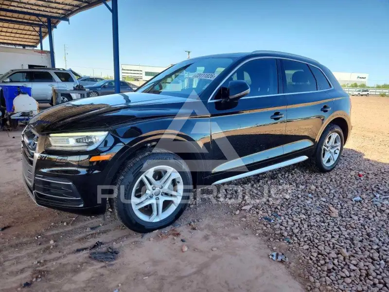 2019 Audi Q5 фото
