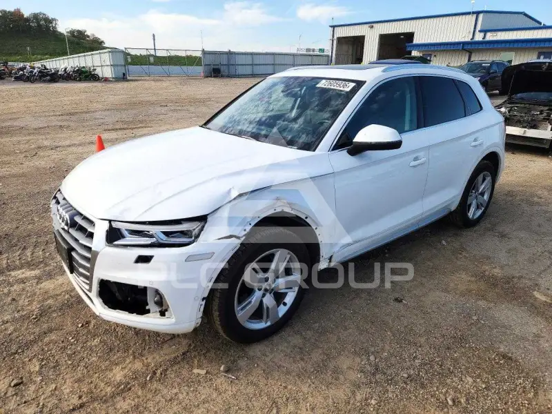2019 Audi Q5 photo