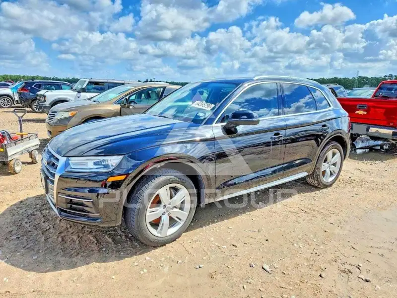 2019 Audi Q5 фото