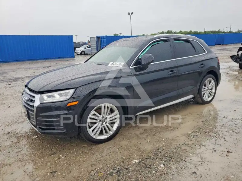 2019 Audi Q5 фото