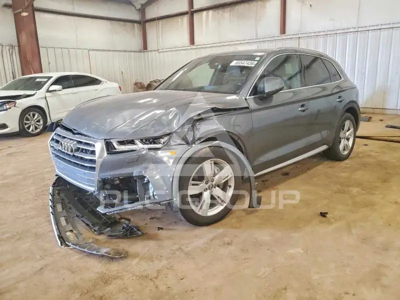 2019 Audi Q5 фото