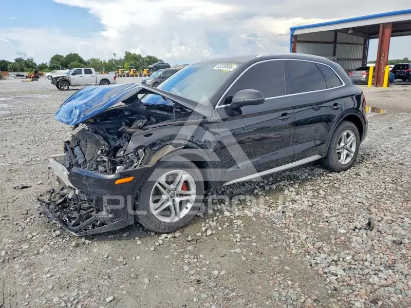2019 Audi Q5 фото