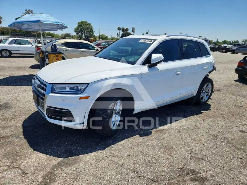 2019 Audi Q5 photo