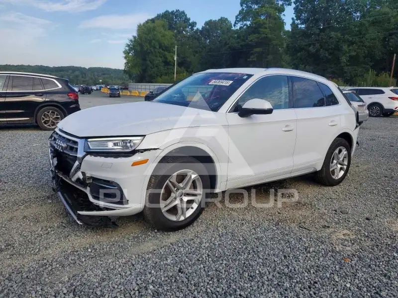 2019 Audi Q5 фото