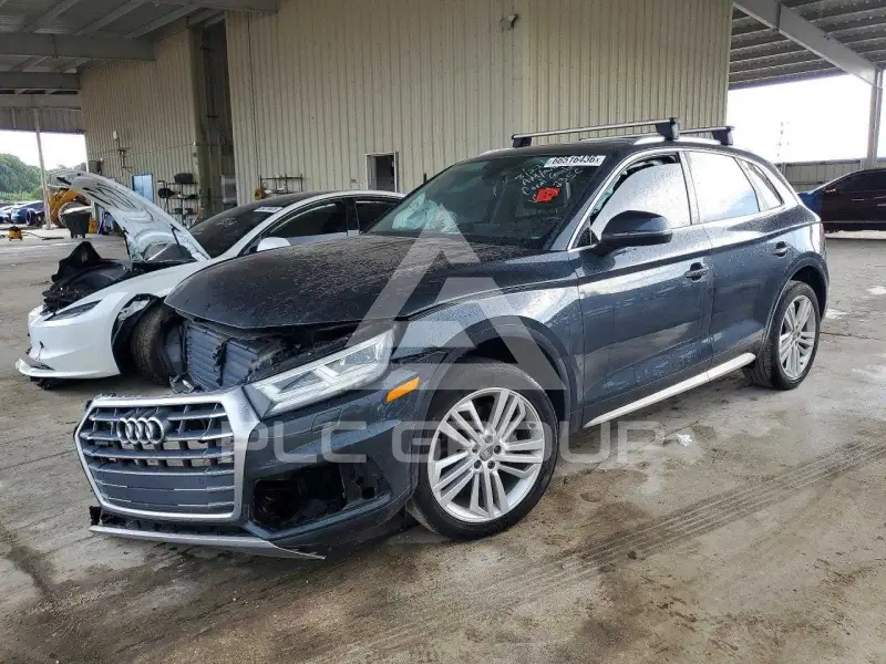 2019 Audi Q5 фото