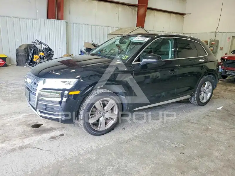 2019 Audi Q5 фото