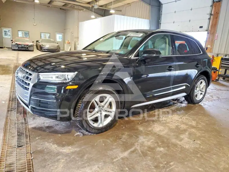 2019 Audi Q5 photo
