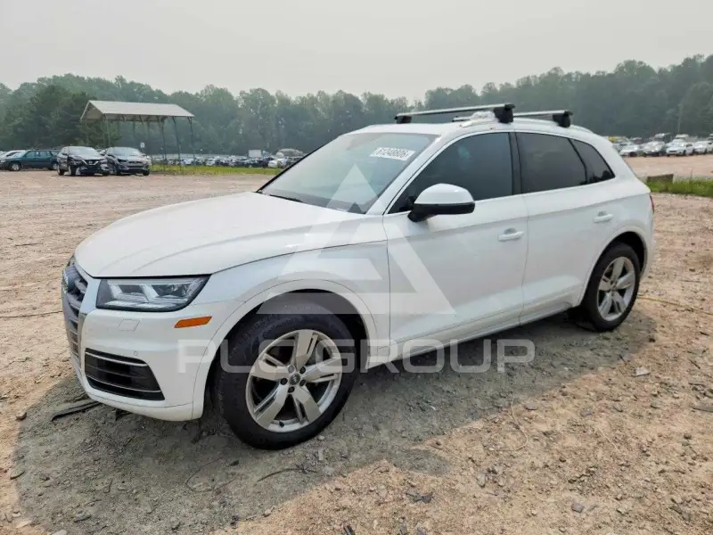 2019 Audi Q5 photo