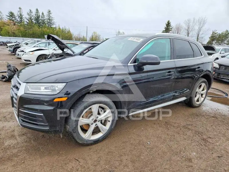 2019 Audi Q5 фото