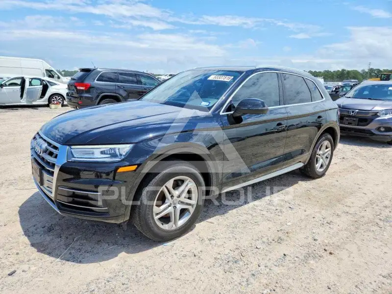 2019 Audi Q5 фото