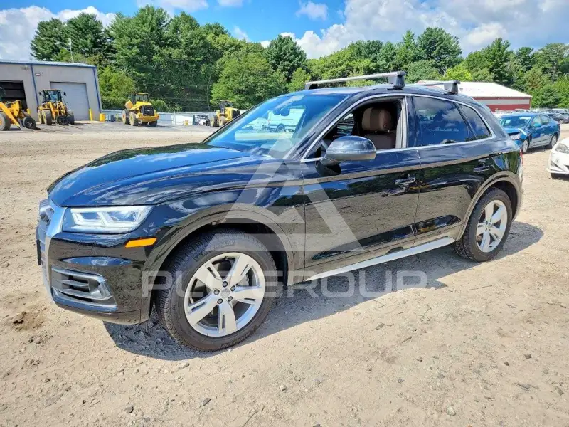 2019 Audi Q5 фото