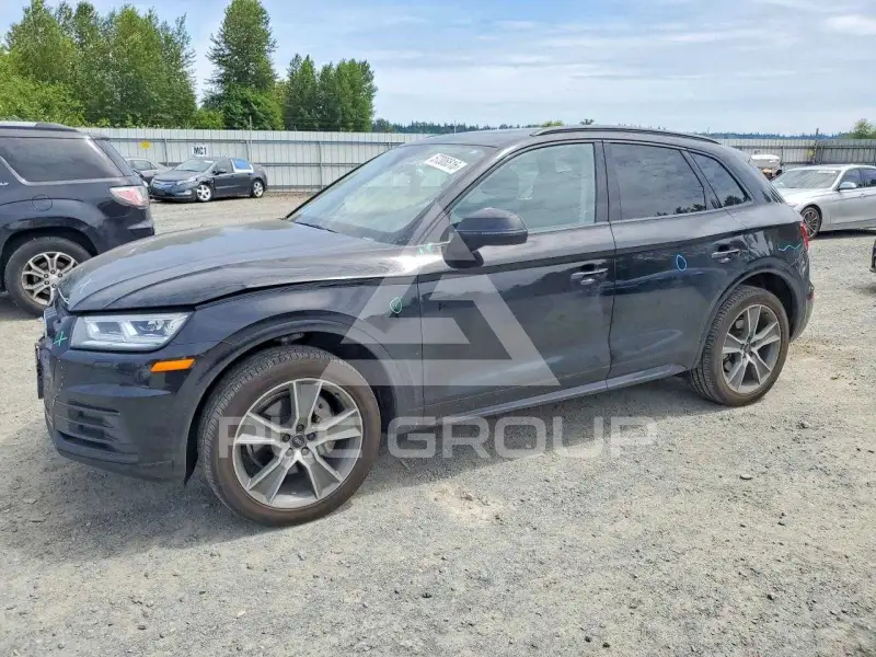 2019 Audi Q5 photo