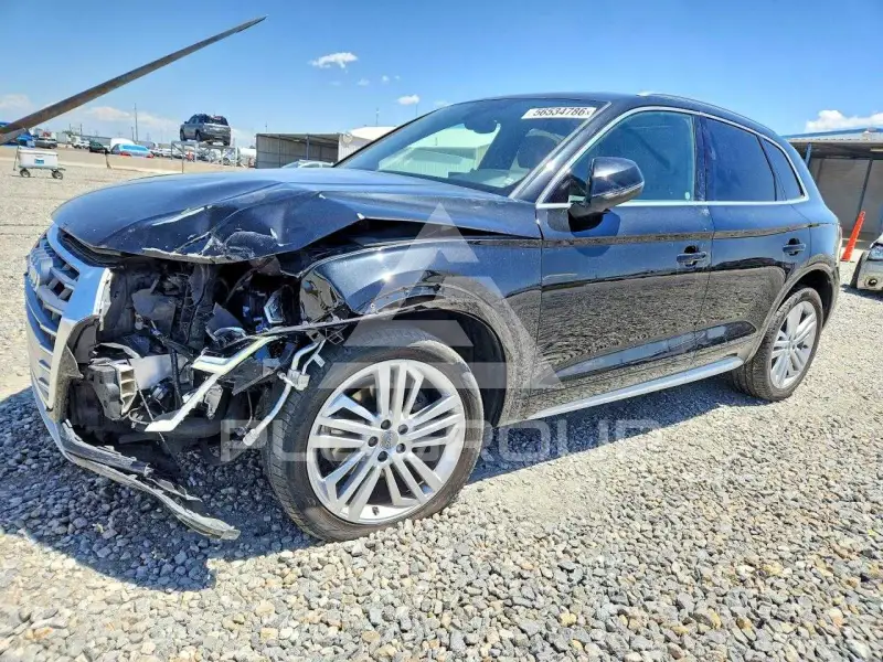 2019 Audi Q5 фото