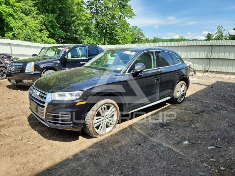 2019 Audi Q5 фото