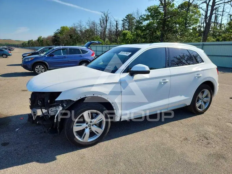 2019 Audi Q5 фото