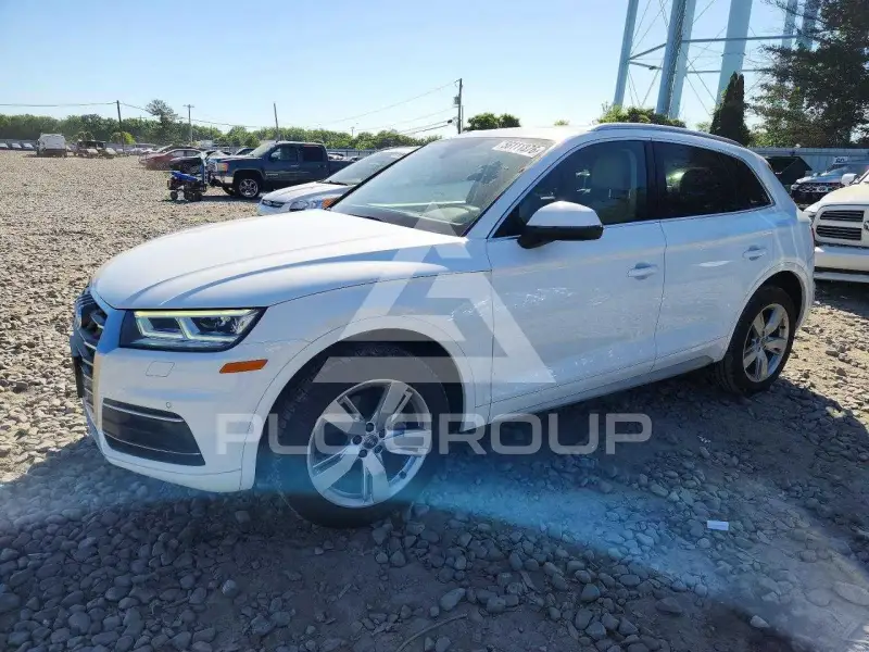 2019 Audi Q5 фото