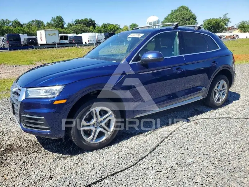 2019 Audi Q5 фото