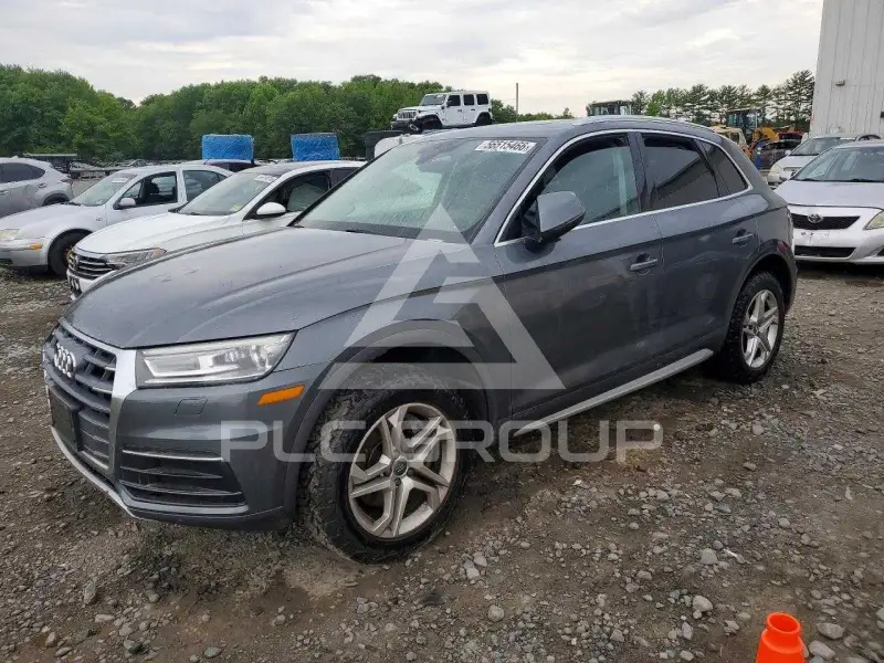 2019 Audi Q5 фото