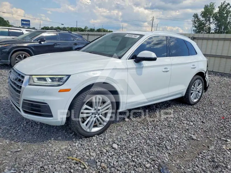 2019 Audi Q5 фото