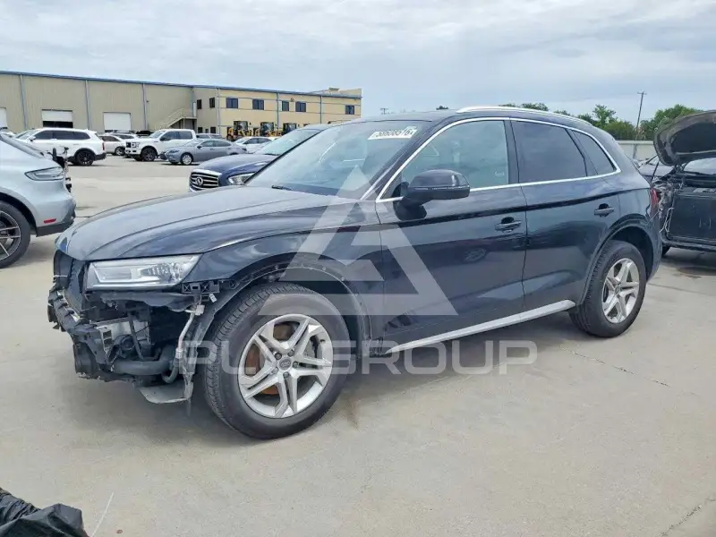2019 Audi Q5 фото