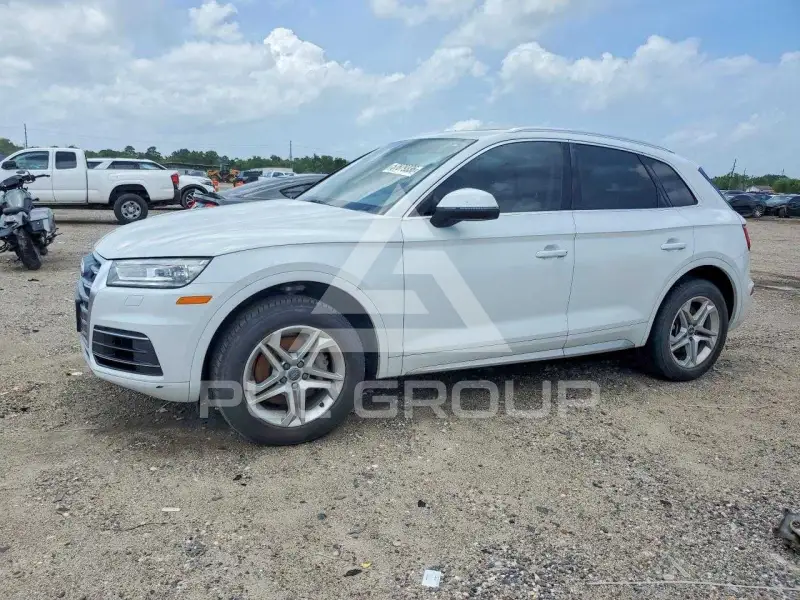 2019 Audi Q5 фото