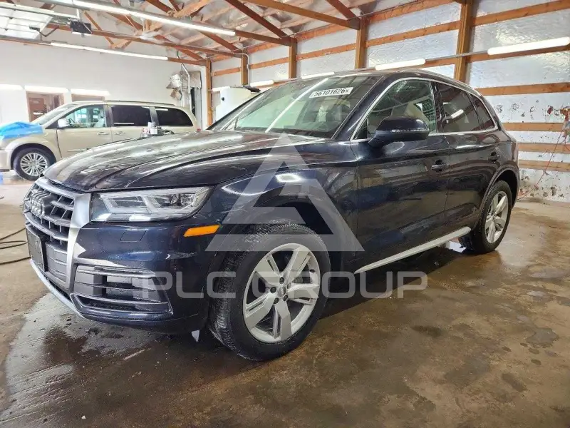 2019 Audi Q5 фото