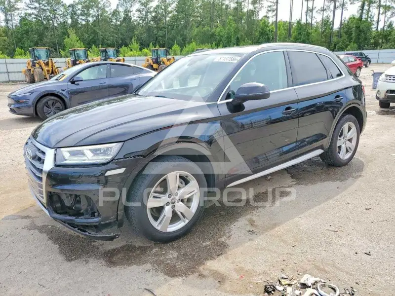2019 Audi Q5 фото