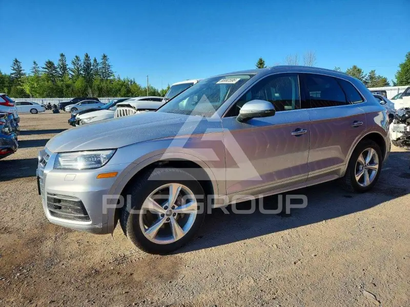 2019 Audi Q5 фото
