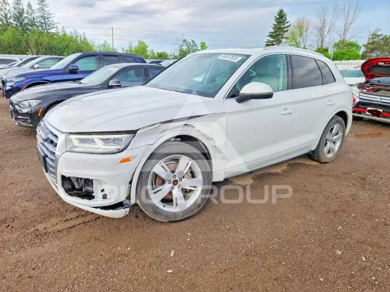 2019 Audi Q5 фото